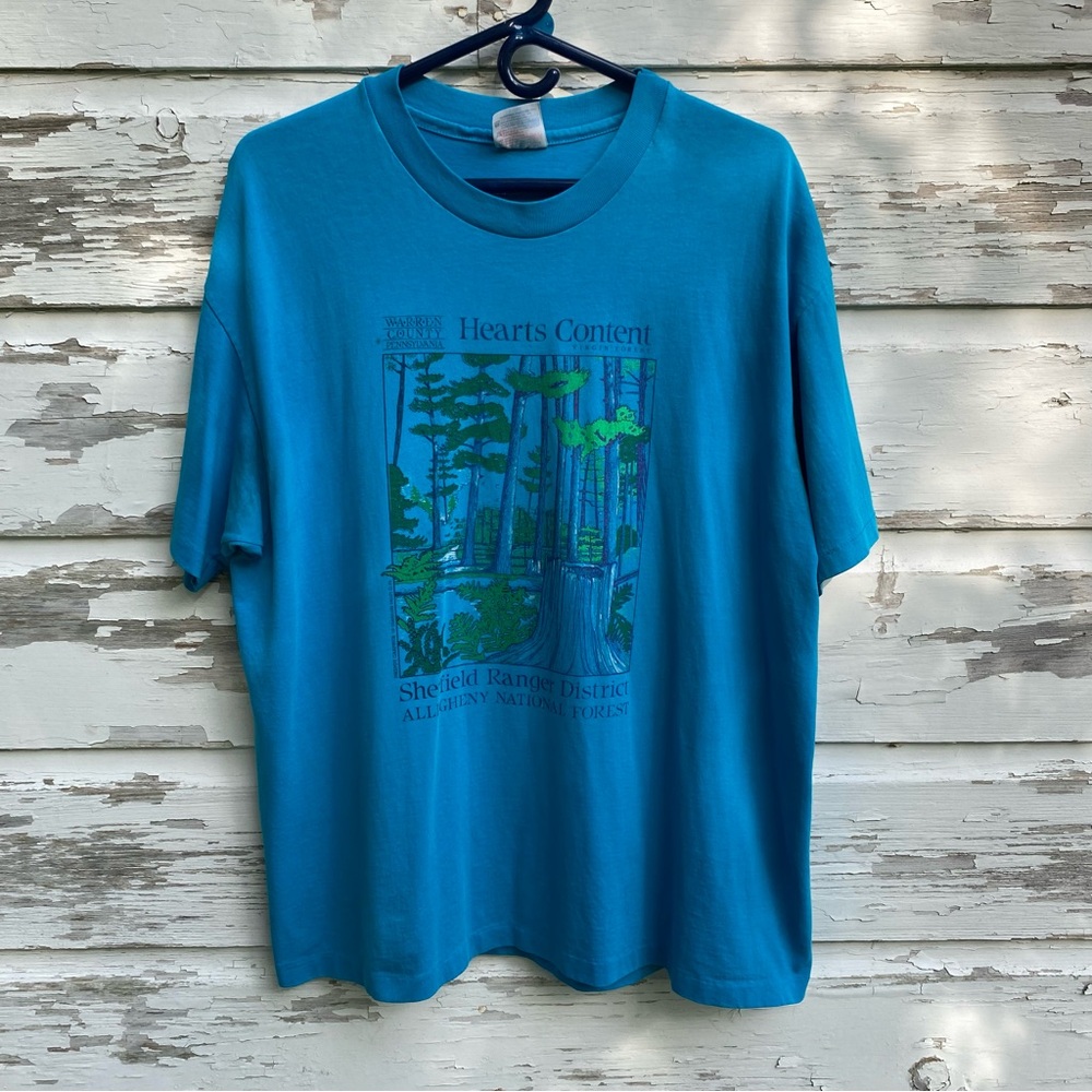 1990s Vintage Hanes XL blue green t-shirt single stitch graphic nature